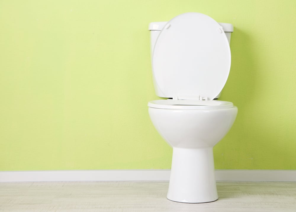  Toilet Height  