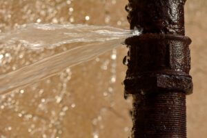 7 Signs You Need Emergency Plumbing Services in Seattle
